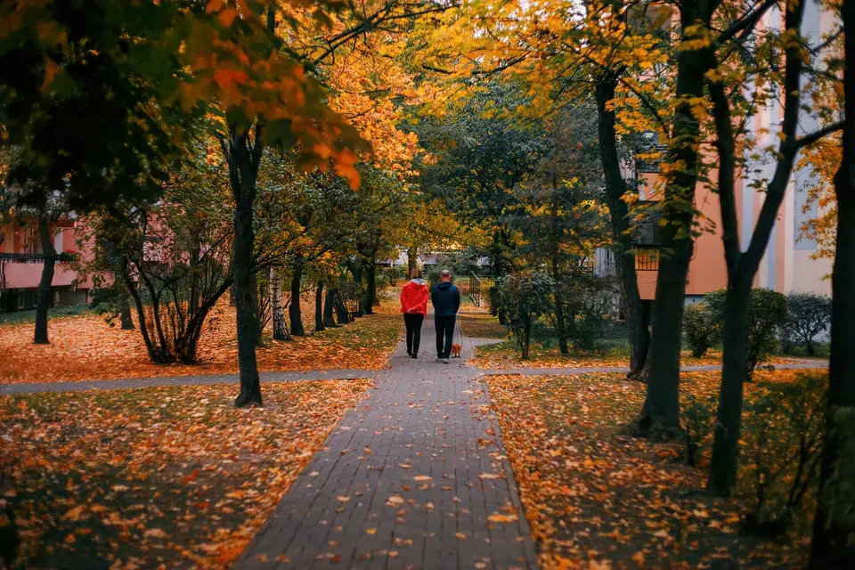 Serving the Leisure Village West-Pine Lake Park Community — Leisure Village West-Pine Lake Park, NJ