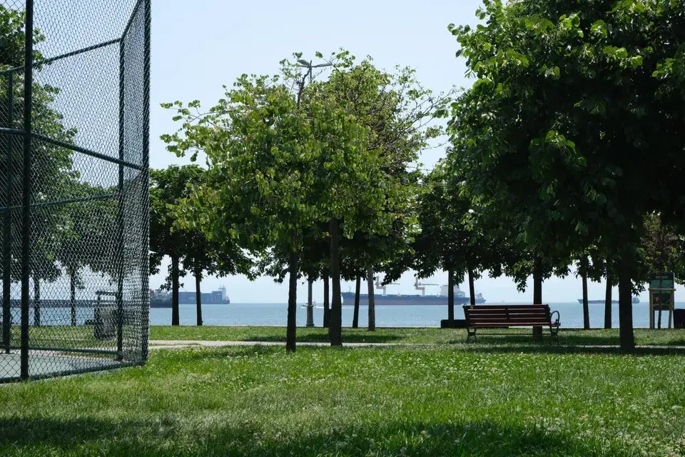 mold removal Leisure Village West-Pine Lake Park