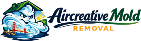 Aircreative Mold Removal